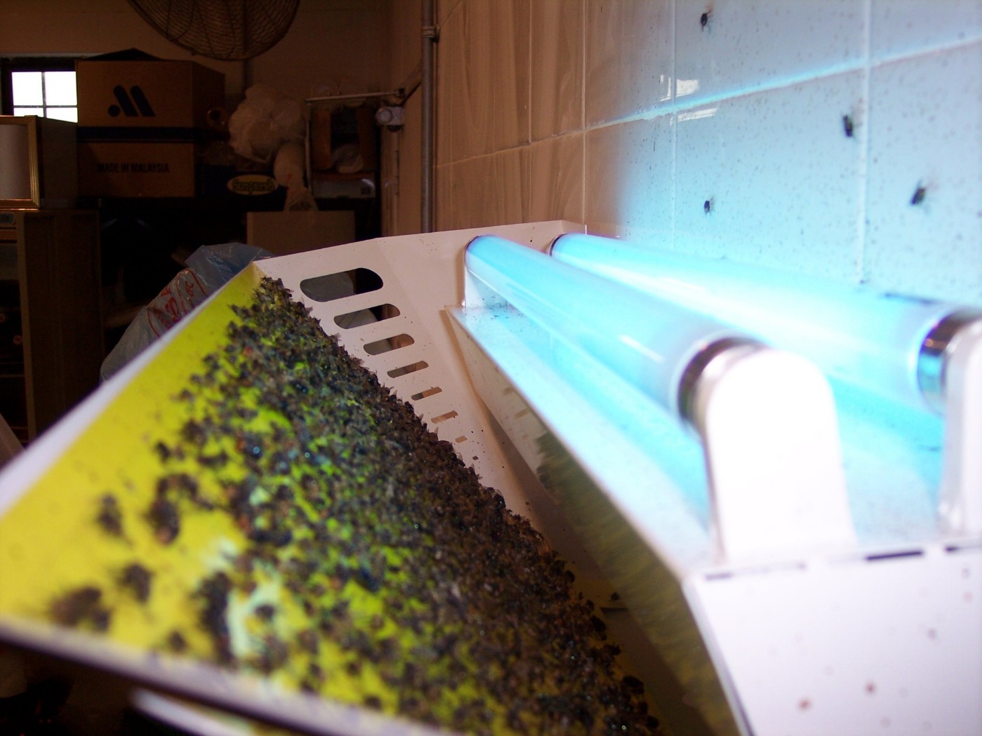 luralite-pro-catchrate-1