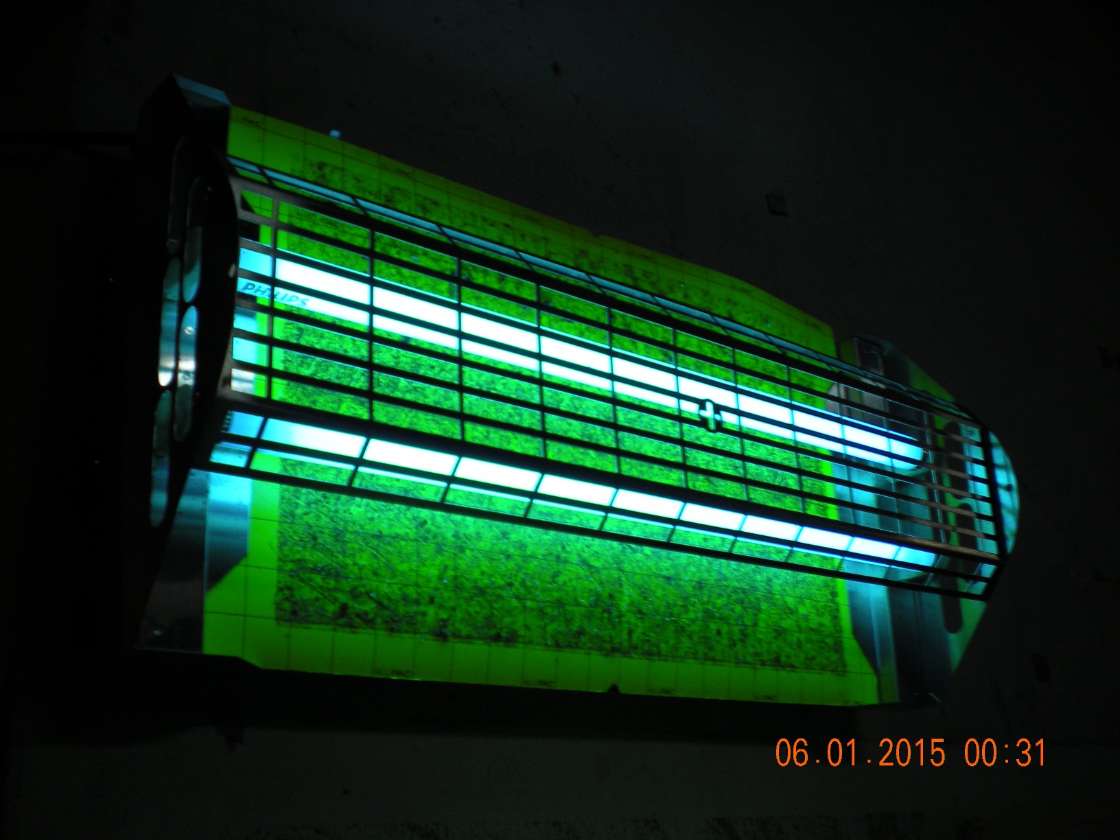 flytrap-80-horizontal