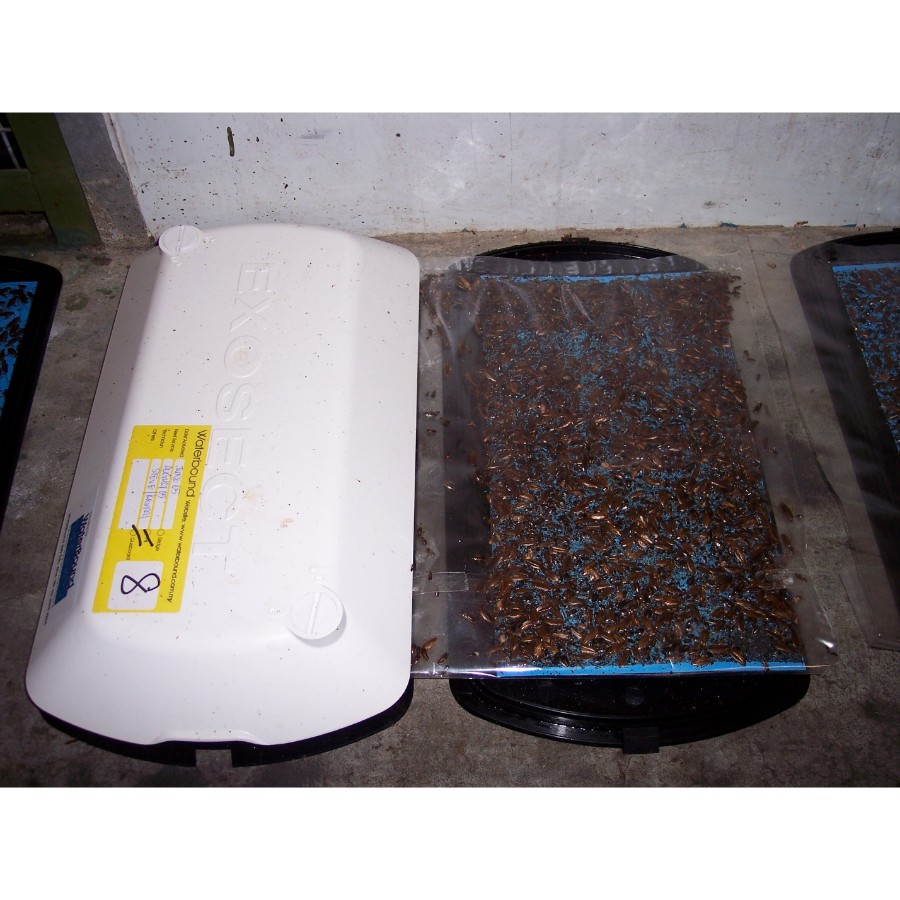 exoroach-performance-4