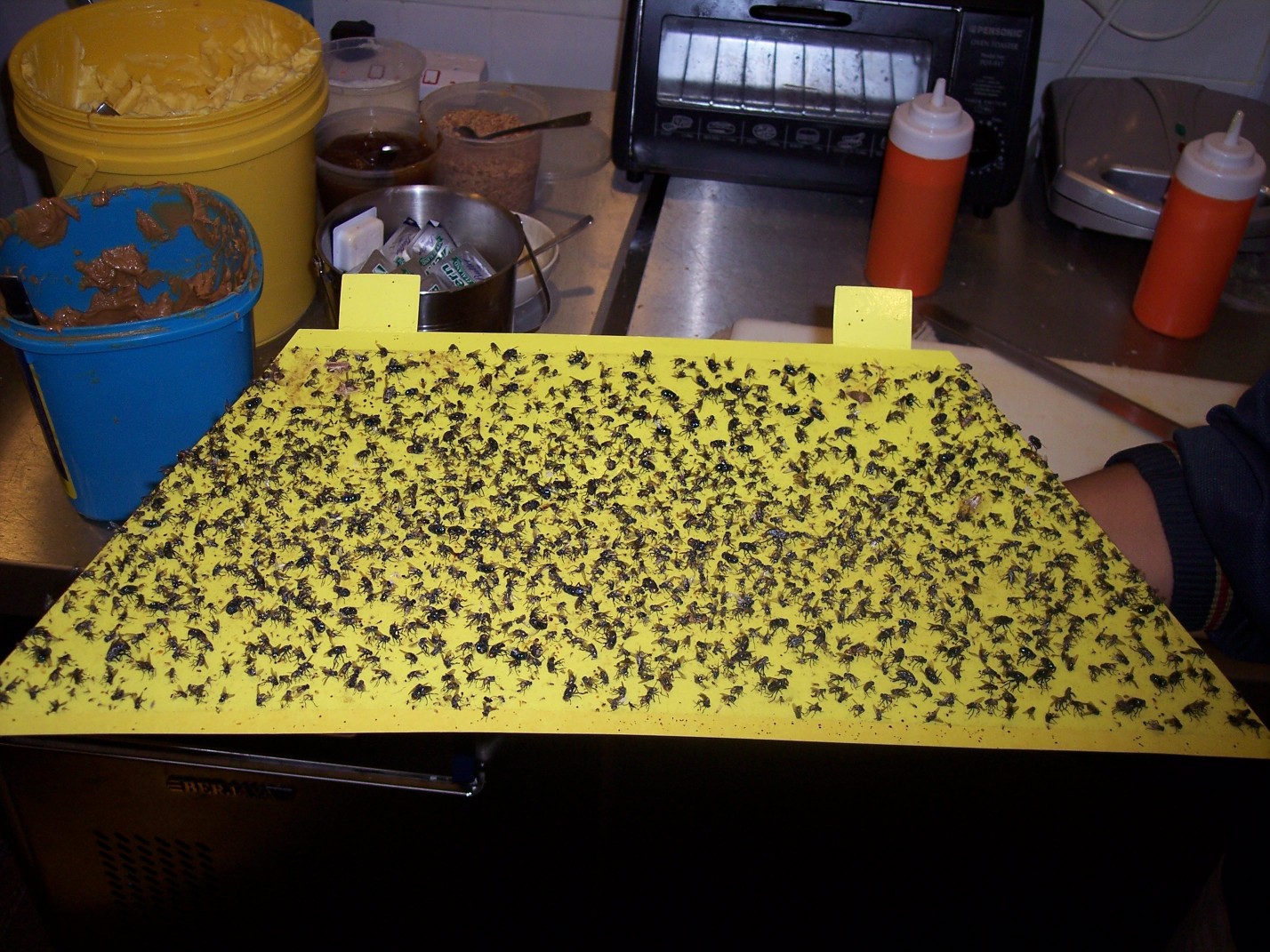 luralite-pro-catchrate-15