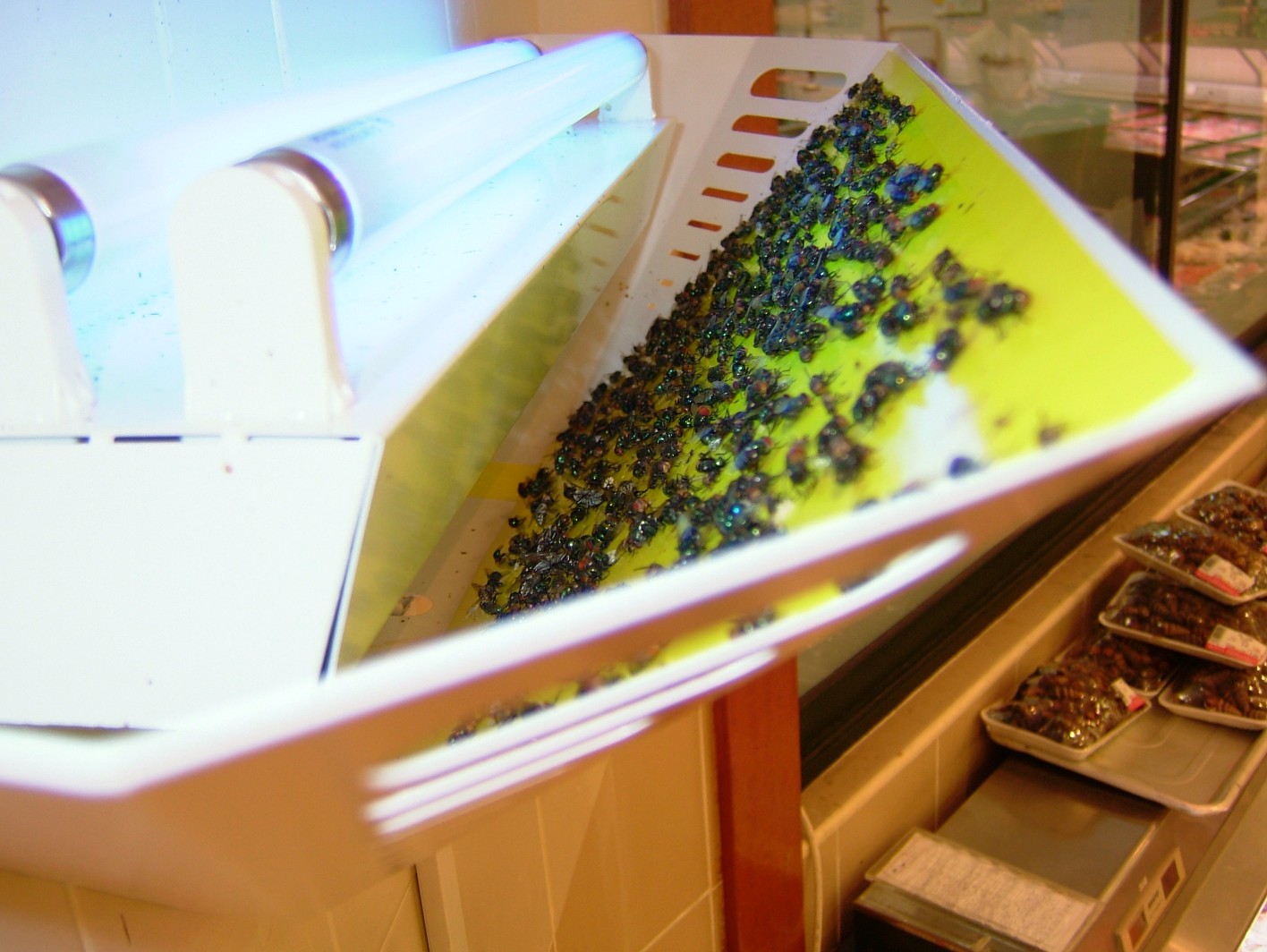 luralite-pro-catchrate-12