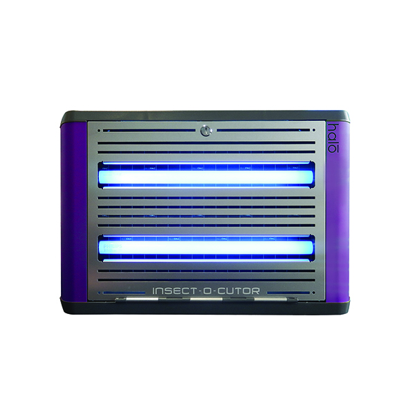 HALO30-SHADES-PURPLE